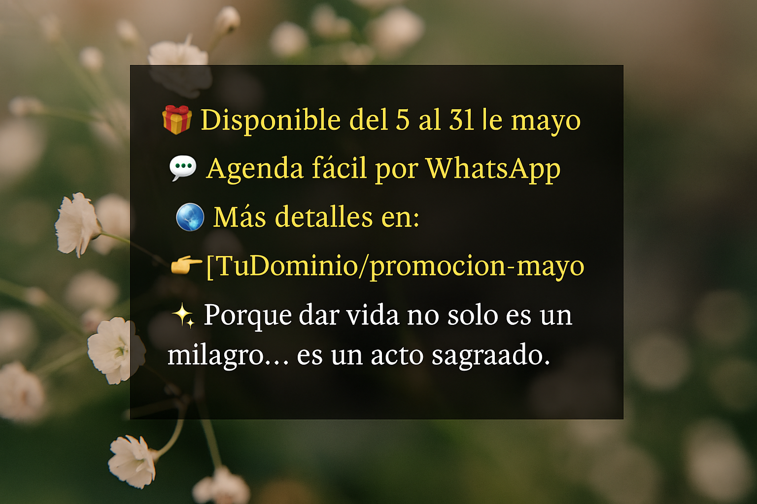 Oferta mes de la Madre 5